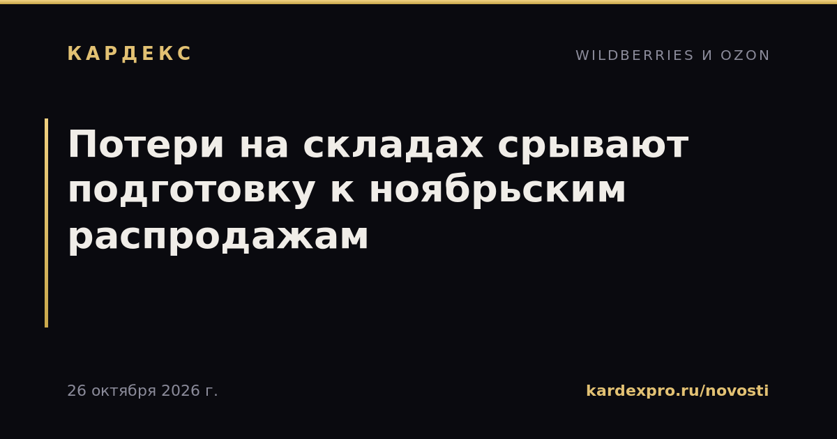 Потери на складах срывают подготовку к ноябрьским распродажам